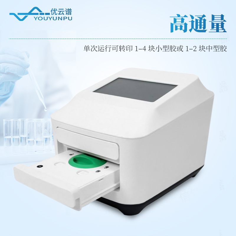 全能蛋白轉印系統(tǒng)