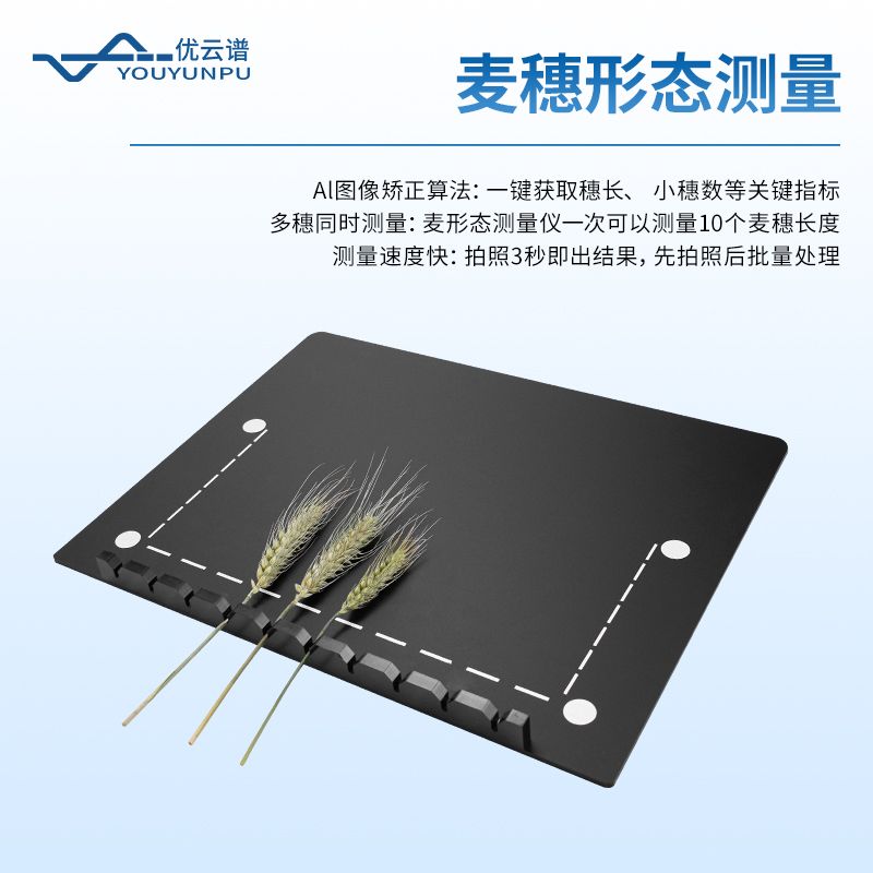 小麥畝穗數測量儀